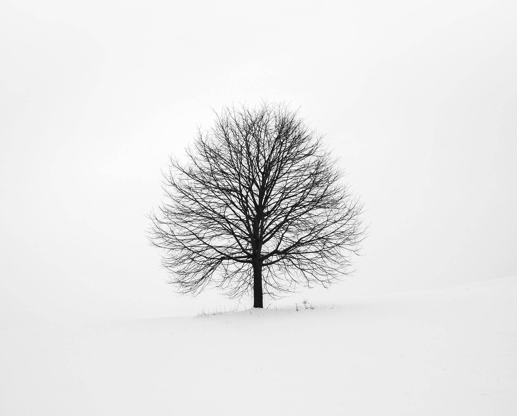 single-image-project1