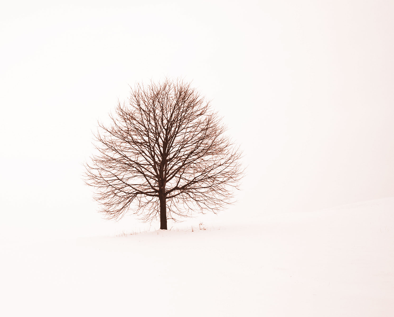 single-image-project13